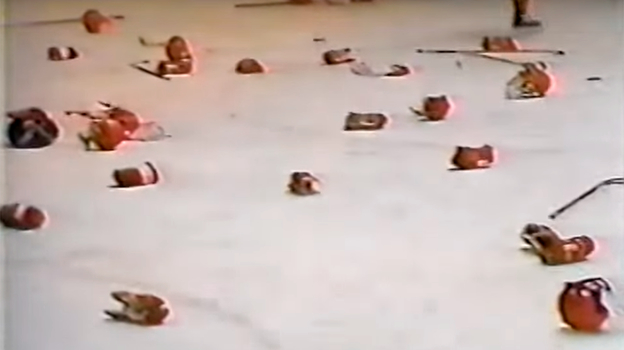 Скрин из видео драки. Скрин из видео драки.