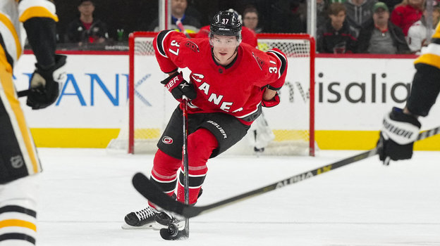 Андрей Свечников. Фото USA Today Sports Андрей Свечников. Фото USA Today Sports