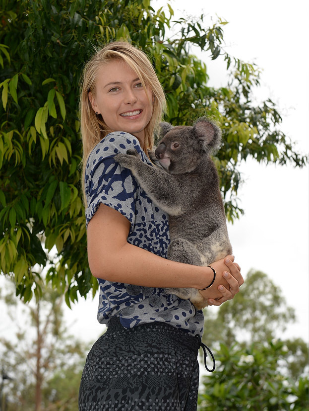 Мария Шарапова и коала. Фото Getty Images Мария Шарапова и коала. Фото Getty Images