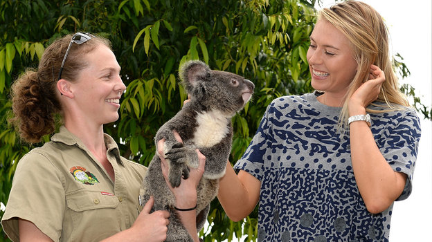 Мария Шарапова и коала в зоопарке. Фото Getty Images Мария Шарапова и коала в зоопарке. Фото Getty Images