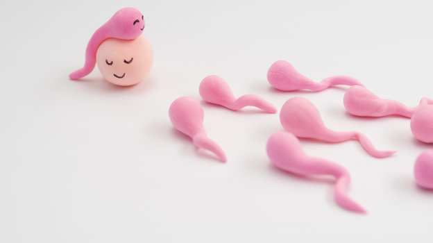 Какой запас яйцеклеток у женщин. Фото Freepik/freepik Какой запас яйцеклеток у женщин. Фото Freepik/freepik