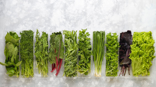 Зелень. Фото Freepik/azerbaijan_stockers Зелень. Фото Freepik/azerbaijan_stockers