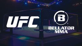 В чем разница между UFC и Bellator? Нашли 5 отличий
