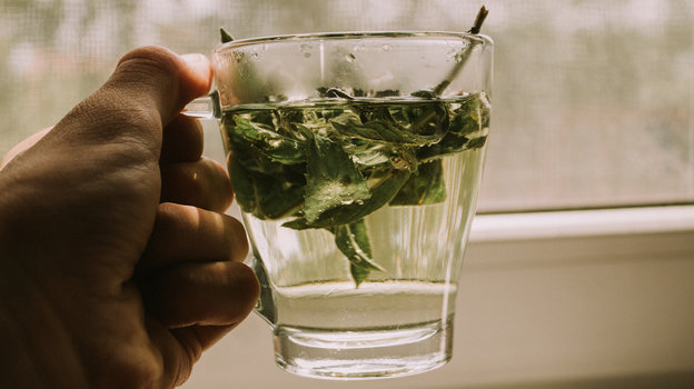 Чай с мятой. Фото Unsplash/Anton Darius Чай с мятой. Фото Unsplash/Anton Darius