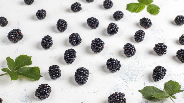 Ежевика. Фото Freepik/azerbaijan_stockers Ежевика. Фото Freepik/azerbaijan_stockers