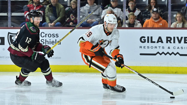 Защитник Дмитрий Куликов (справа).