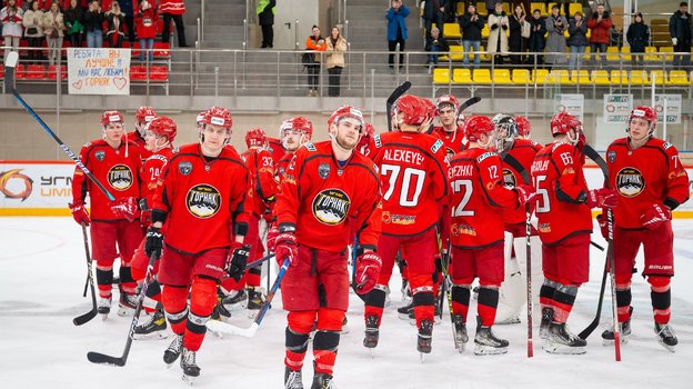 Хоккеисты «Горняк-УГМК».