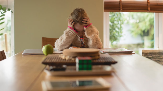 Проблемы в школе могут серьезно мешать учебе. Девочка за уроками