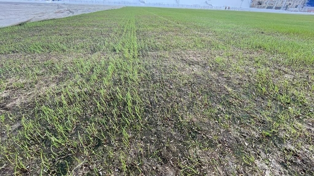 Состояние поля на домашнем стадионе «Шинника».