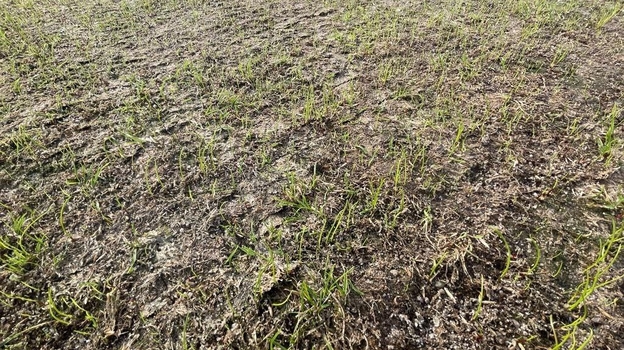 Состояние поля на домашнем стадионе «Шинника».