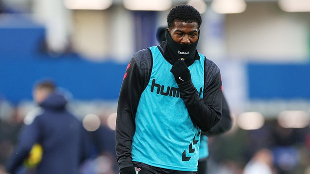 Энзли Мейтленд-Найлз.