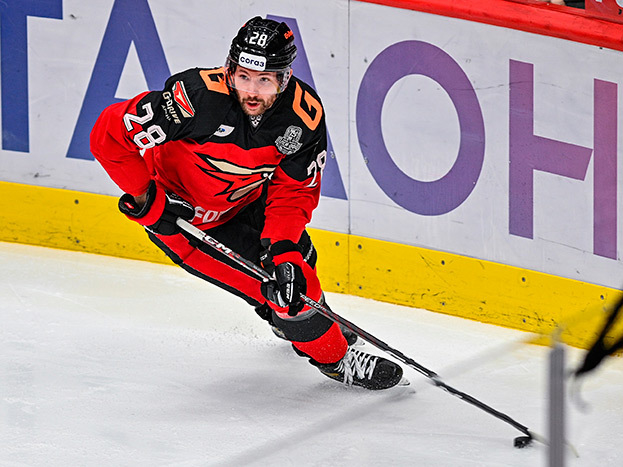 Сергей Толчинский. Хоккеист «Авангарда» Сергей Толчинский.