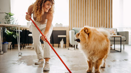 Уборка в доме с собакой.