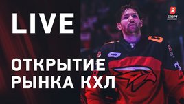 Толчинский, Ткачев, Грицюк, Гусев и Яшкин. Эфир об открытии рынка КХЛ