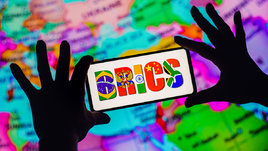Логотип БРИКС