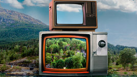 Два телевизора на фоне природы