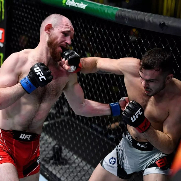 Борщев нокаутирует Буша ударом в печень.