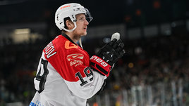 Хоккеист Владимир Ткачев