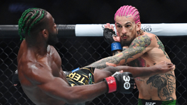 Шон О'Мэлли — Алджамейн Стерлинг: видеообзор боя UFC 292