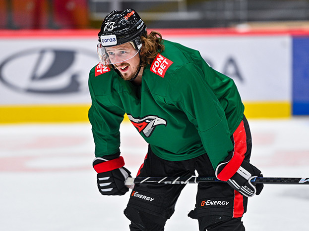 Либор Шулак. Хоккеист «Авангарда» Либор Шулак.