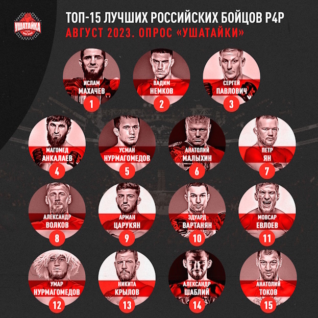 Топ-15 лучших российских бойцов.