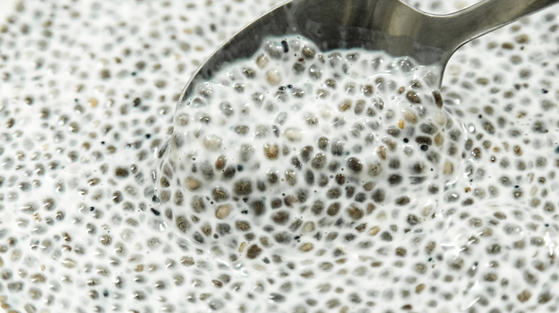 Семена чиа: вред. Семена чиа разбухшие.