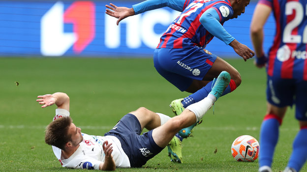 Владислав Шитов и Мойзес