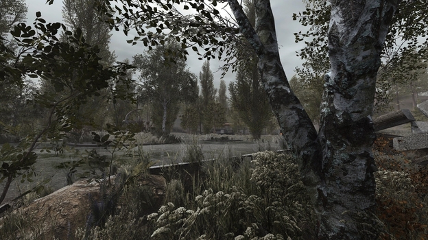 S.T.A.L.K.E.R.: Shadow Of Chernobyl Update.