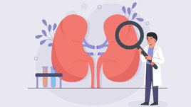 Нарисованные почки