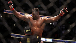 Боец Франсис Нганну