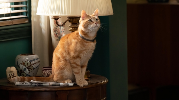 Кадр из фильма «Марвелы».