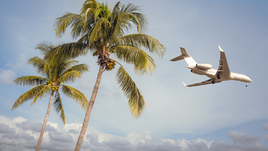 Самолет и пальма