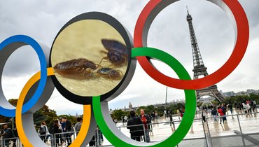 Накануне Олимпиады-2024 в Париже распространились постельные клопы.