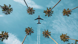 Самолет над пальмами