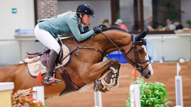 Нейтральный статус присвоили даже лошадям из России. В конном спорте ослабят санкции