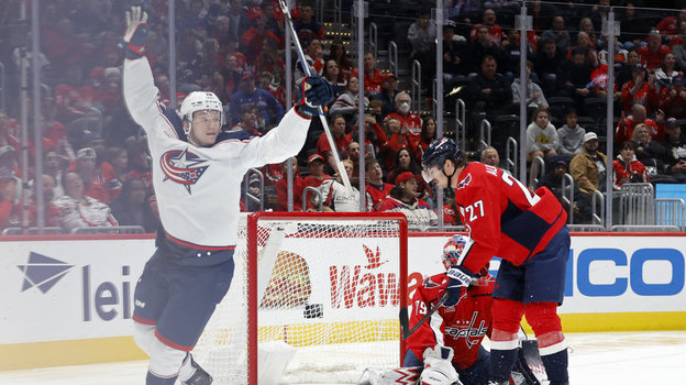 Дмитрий Воронков.