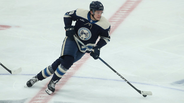 Дмитрий Воронков.