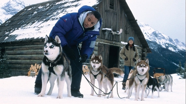 Кадр из фильма «Снежные псы»