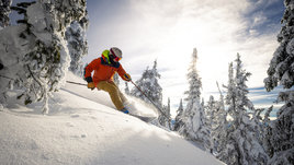 Человек едет на лыжах