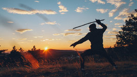 Смогли бы вы стать суперниндзя? Проверьте себя