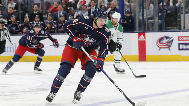 Дмитрий Воронков.