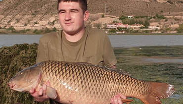 Арион Куртаж.