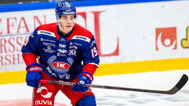 Далибор Дворски. Хоккеист Далибор Дворски