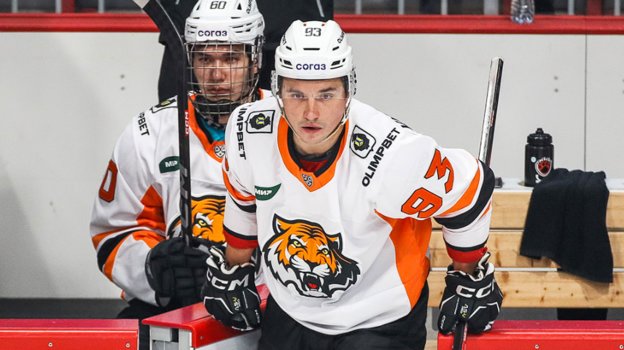 Александр Хохлачев. Хоккеист Александр Хохлачев.