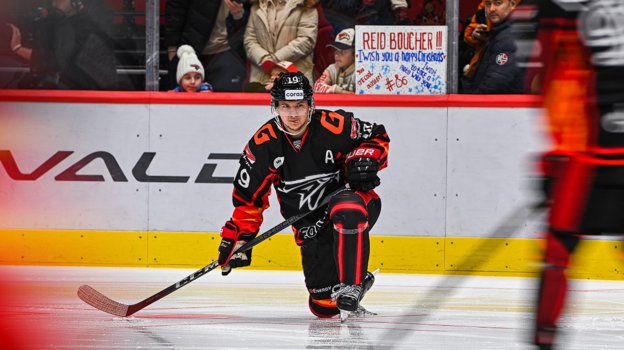 Владимир Ткачев. Хоккеист Владимир Ткачев.