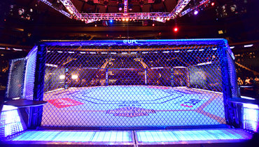 Октагон UFC.