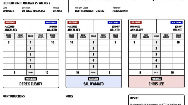 Судейские записки боя Анкалаев - Уокер.