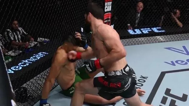 Магомед Анкалаев победил Джонни Уокера.