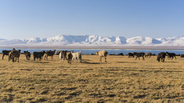 Озеро Сон Коль