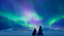 Женщина со своей собакой любуется северным сиянием